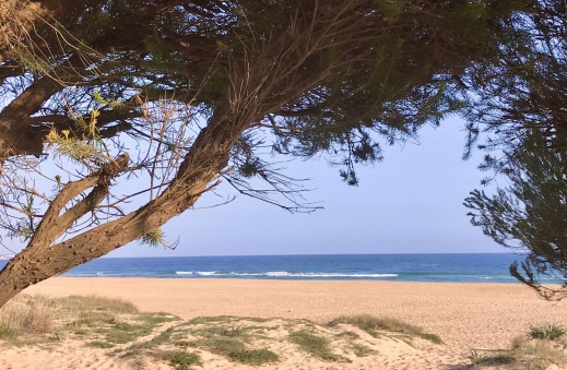 Algarve Urlaub mit Pool am Meer