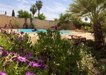 Algarve Urlaub mit Pool am Meer