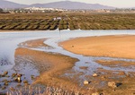 Algarve Urlaub mit Pool am Meer